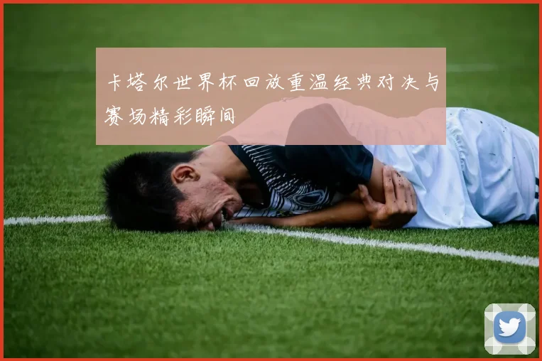 卡塔尔世界杯回放重温经典对决与赛场精彩瞬间