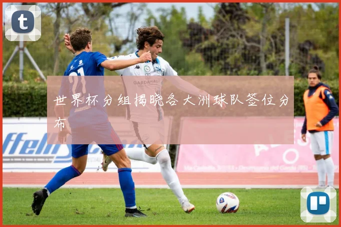 世界杯分组揭晓各大洲球队签位分布
