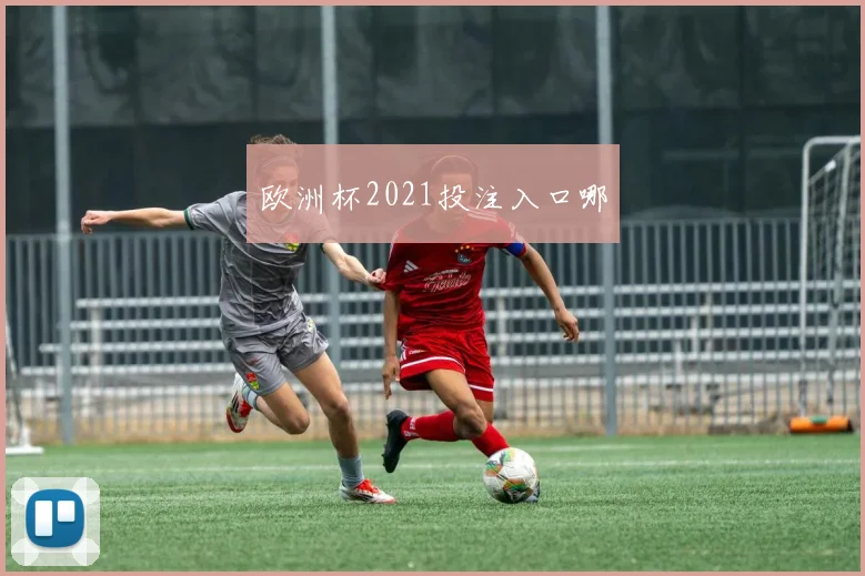 欧洲杯2021投注入口哪